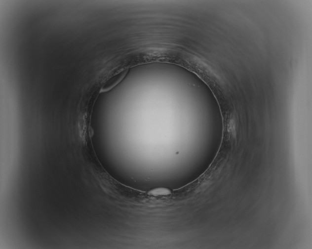 X0000101660868200807171312