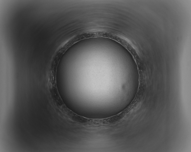 X0000101660871200807171312