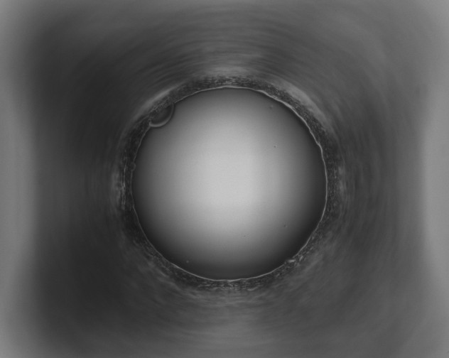 X0000101660872200807171312