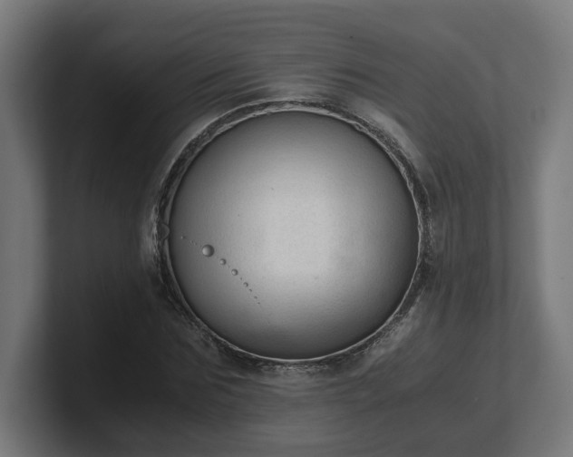 X0000101660875200807171312