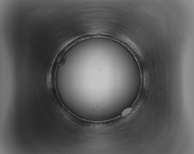 X0000101660876200807171312