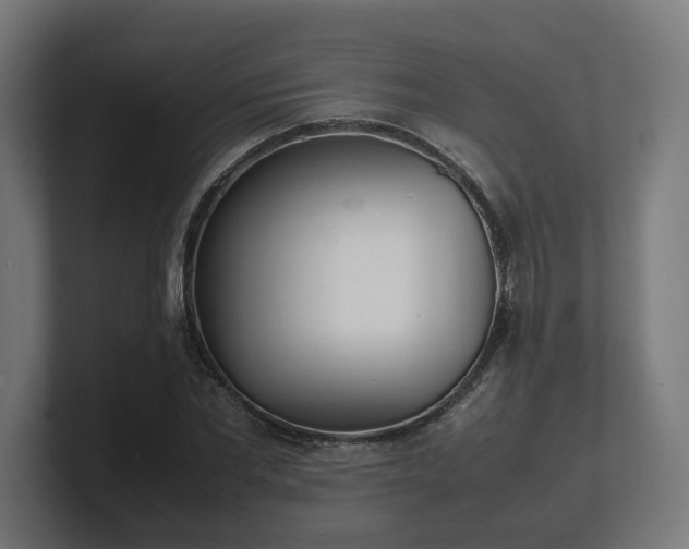 X0000101660877200807171312