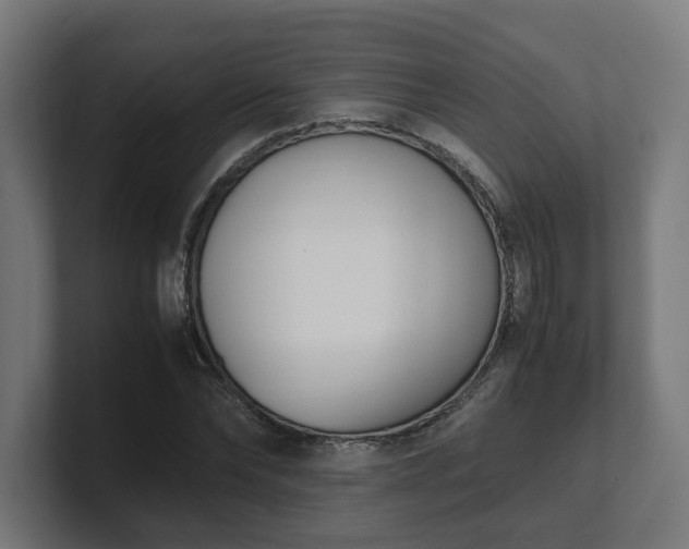 X0000101660878200807171312