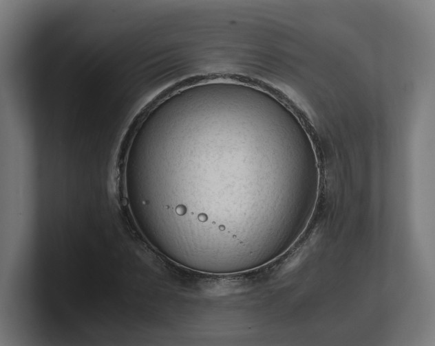 X0000101660879200807171312