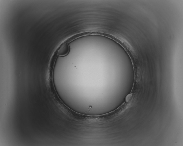 X0000101660880200807171312