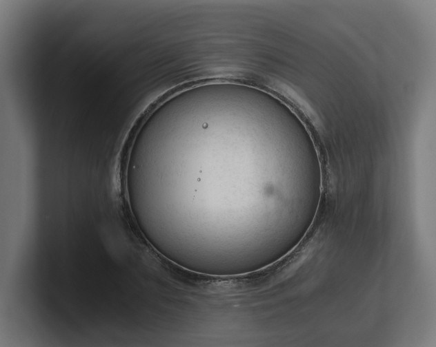 X0000101660883200807171312