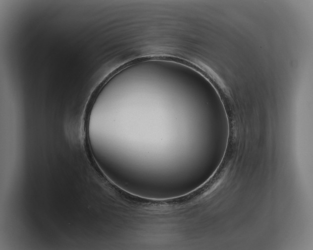 X0000101660885200807171312