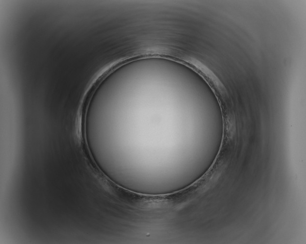 X0000101660886200807171312