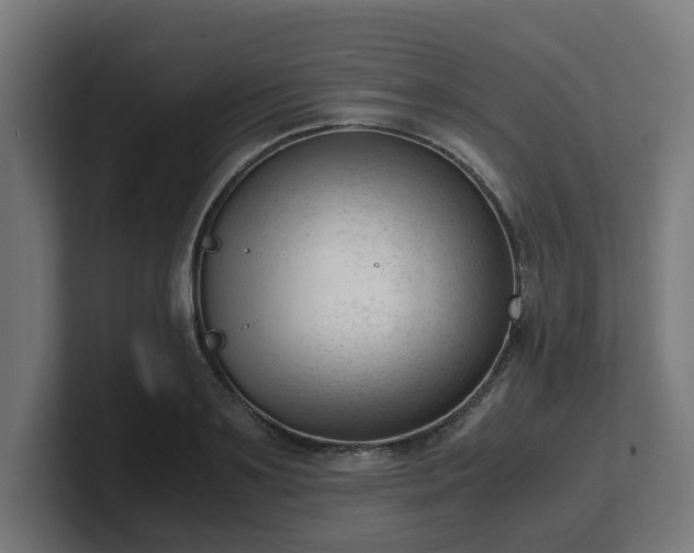 X0000101660891200807171311