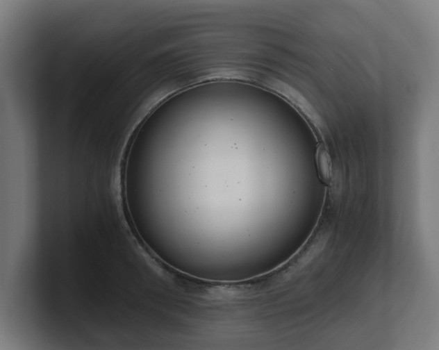 X0000101660898200807171311