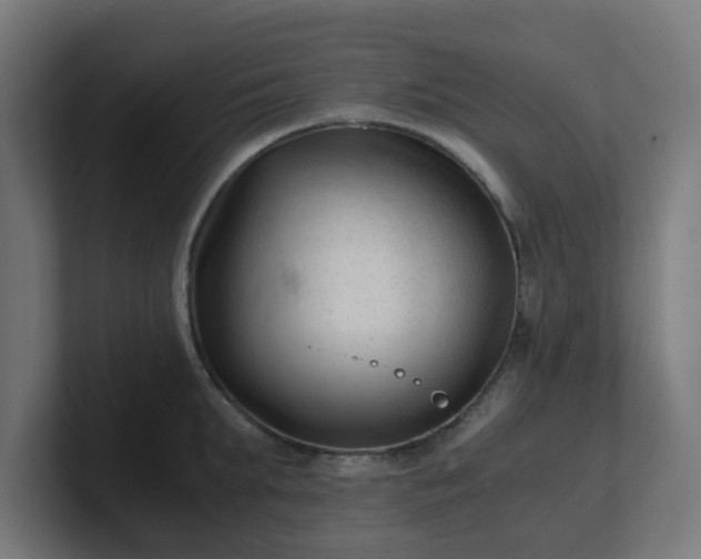 X0000101660903200807171311