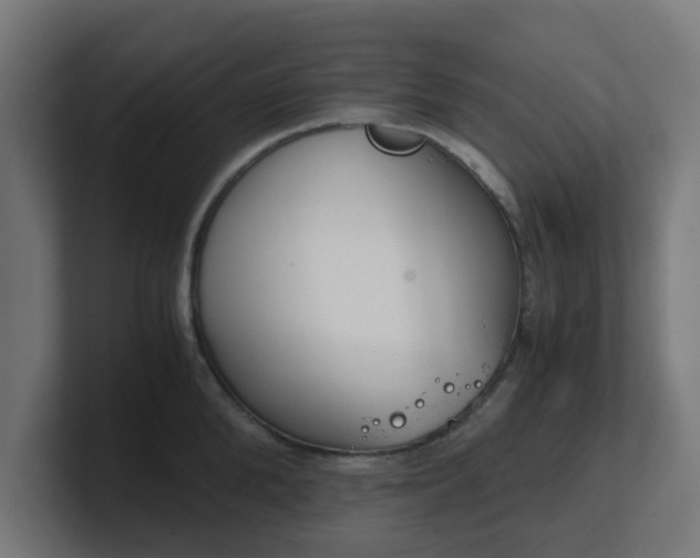 X0000101660904200807171311