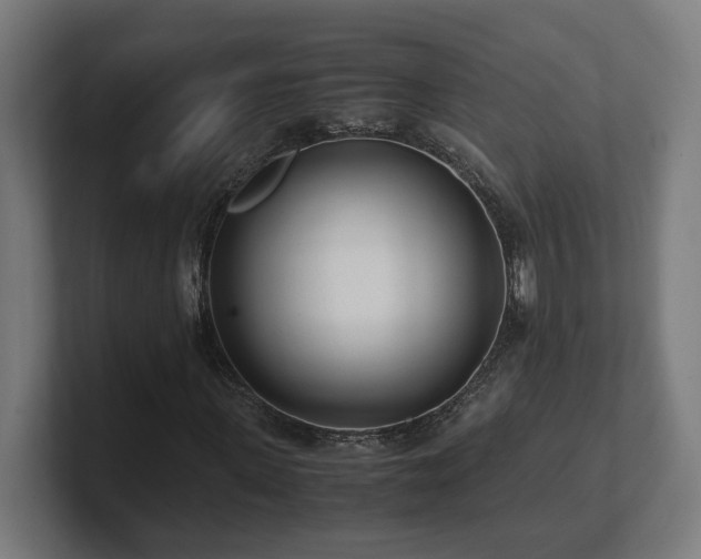 X0000101660915200807171310