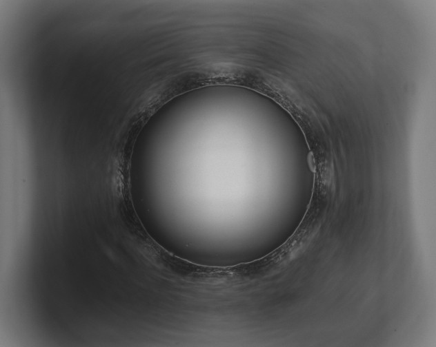 X0000101660916200807171310