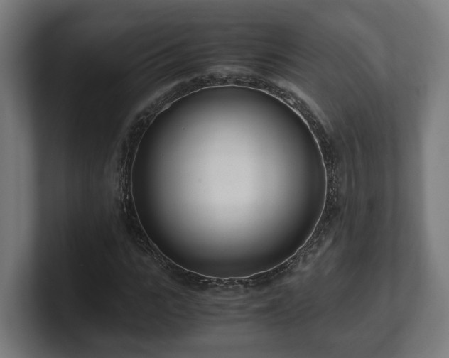 X0000101660919200807171310