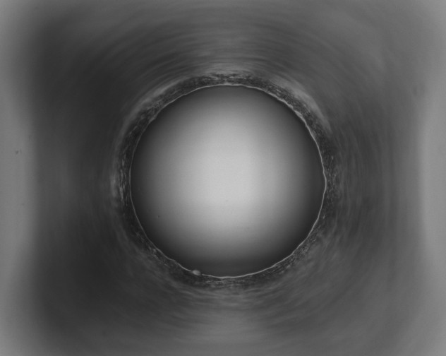 X0000101660920200807171310