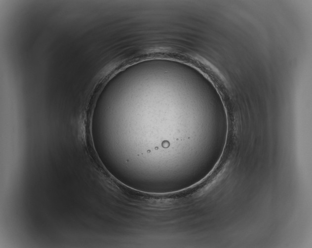 X0000101660921200807171310