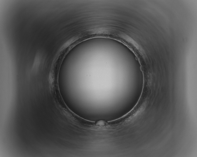 X0000101660922200807171310