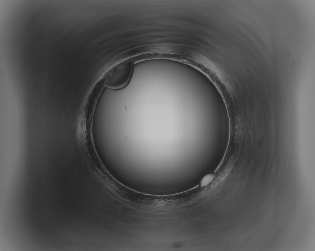 X0000101660923200807171310