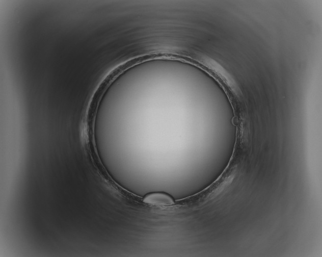 X0000101660924200807171310