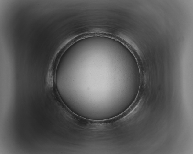 X0000101660925200807171310