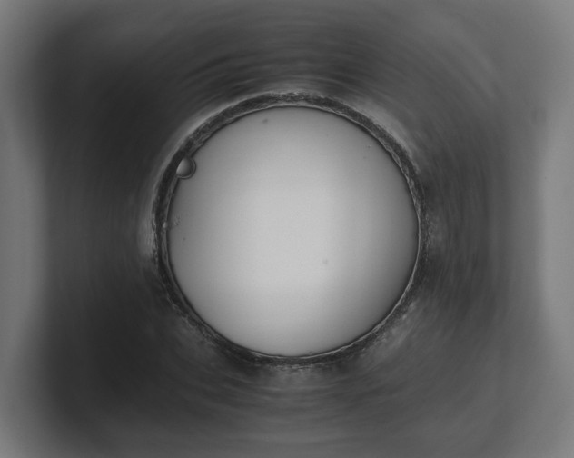 X0000101660927200807171310