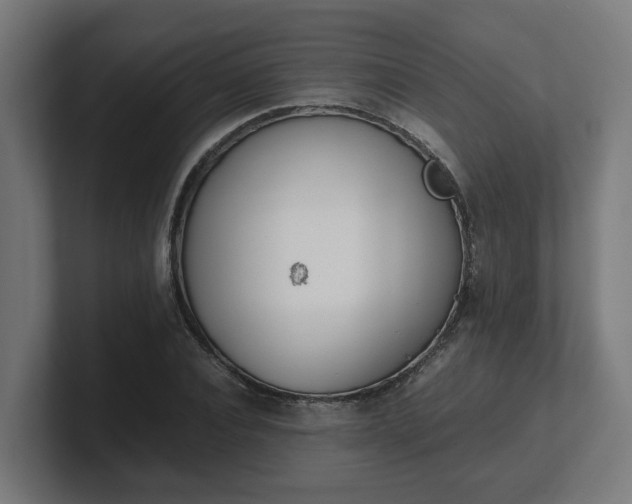 X0000101660928200807171311