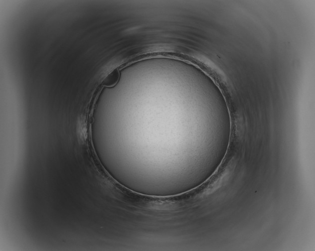 X0000101660929200807171311