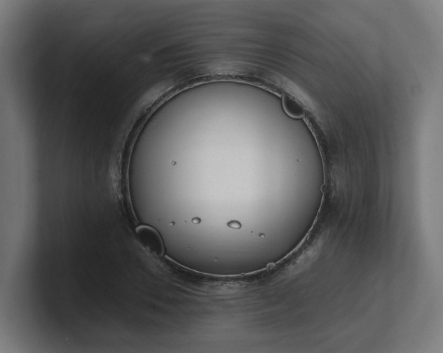 X0000101660930200807171311