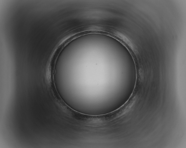 X0000101660931200807171311