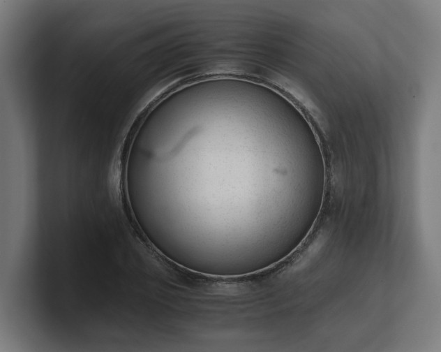 X0000101660933200807171311