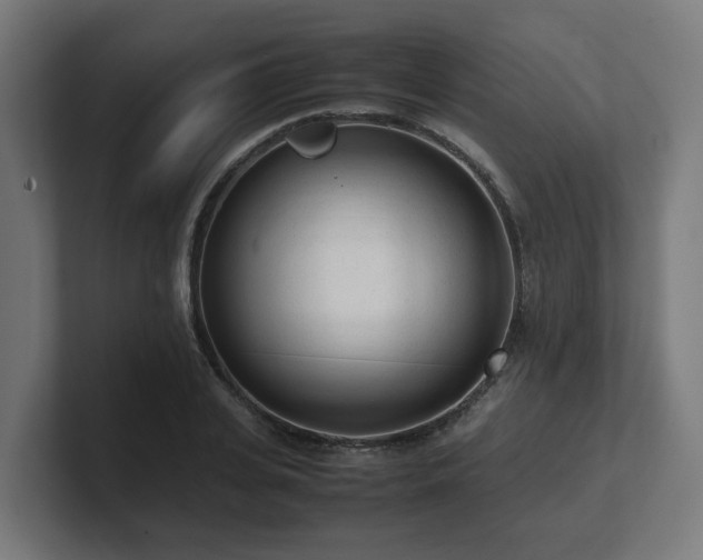 X0000101660935200807171311