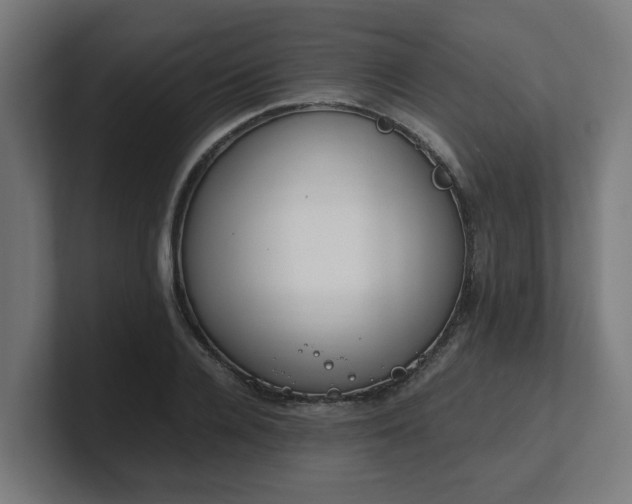 X0000101660936200807171311