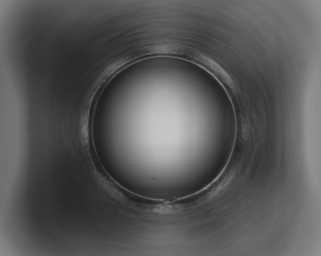 X0000101660938200807171311