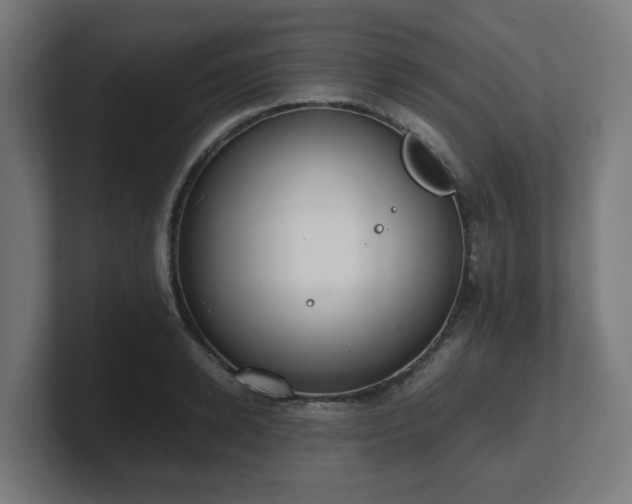 X0000101660942200807171311