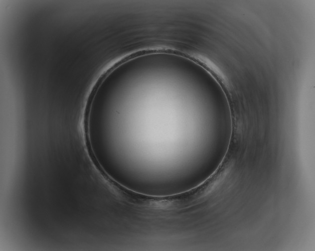 X0000101660943200807171311