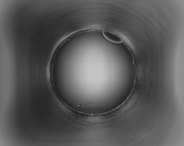 X0000101660944200807171311