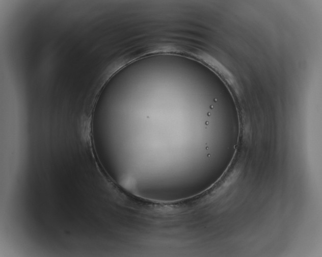 X0000101660945200807171311