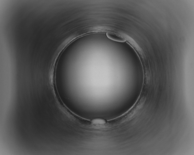 X0000101660946200807171311