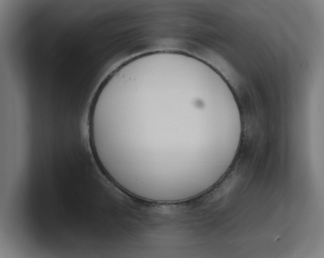 X0000101660950200807171311