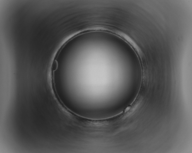 X0000101660951200807171311