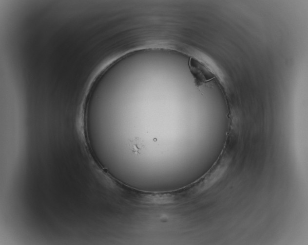 X0000101660952200807171311