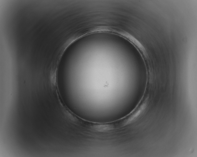 X0000101660953200807171311