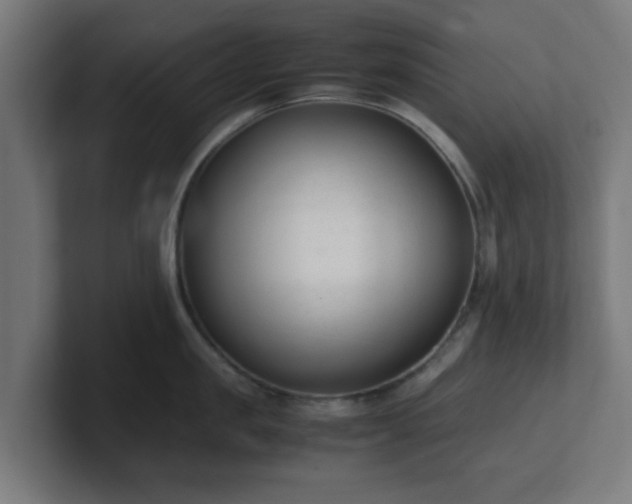 X0000101660957200807171311