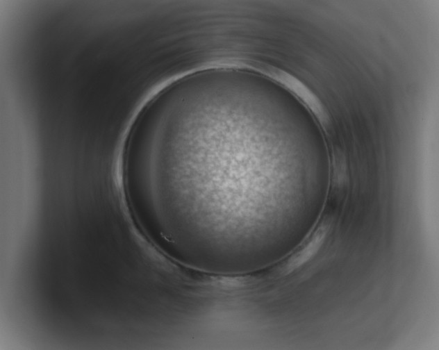 X0000101660958200807171311