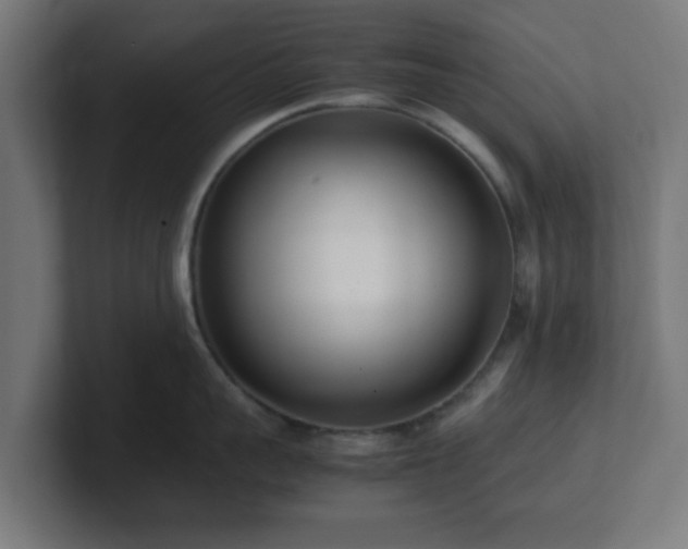 X0000101660959200807171311