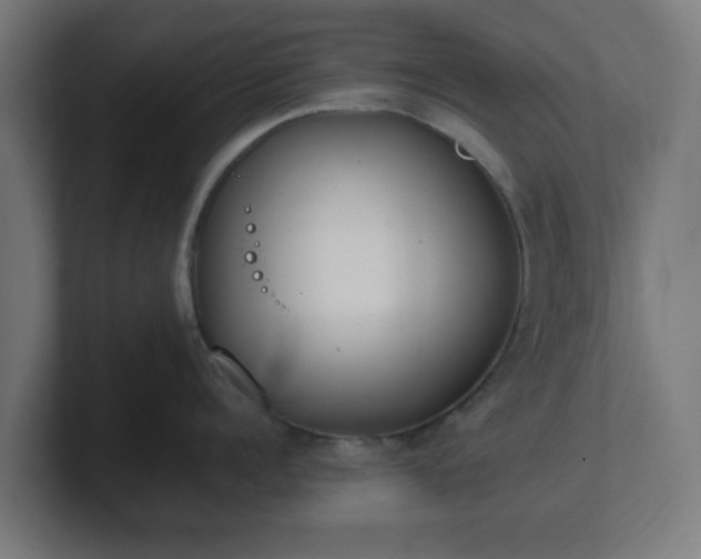 X0000101660960200807171311