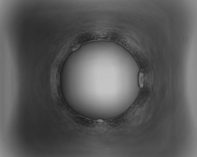 X0000101660961200807171310