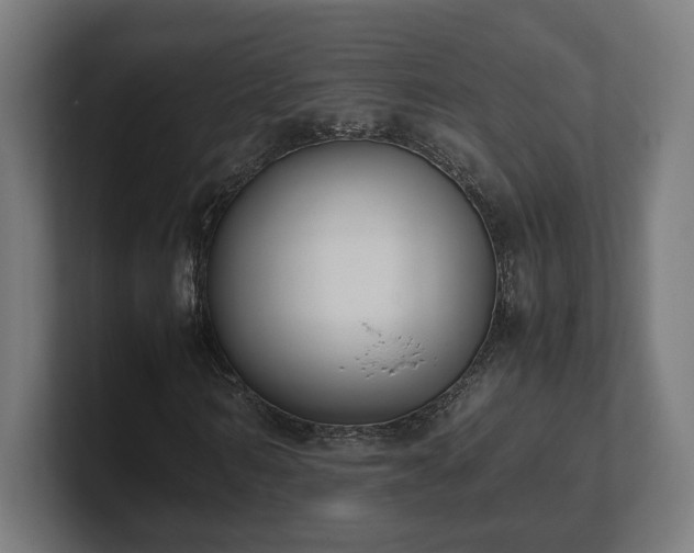 X0000101660962200807171310