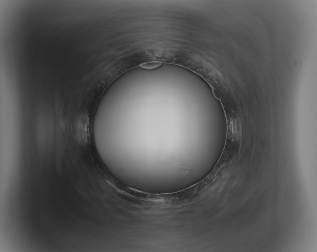 X0000101660963200807171310